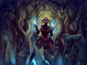 Обои Diablo Diablo 3 компьютерная игра Фэнтези Девушки