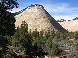 Обои для рабочего стола Парки Гора Зайон национальнай парк Штаты Checkerboard Mesa Utah Природа