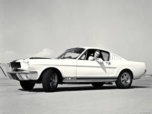Картинки SSC GT350 1965 машины