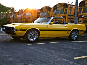 Обои Shelby Super Cars GT350 Convertible 1969