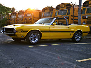 Обои Shelby Super Cars GT350 Convertible 1969 машины