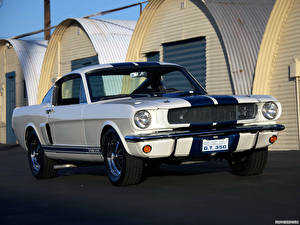 Фотографии Shelby Super Cars GT350 Prototype 1965 авто