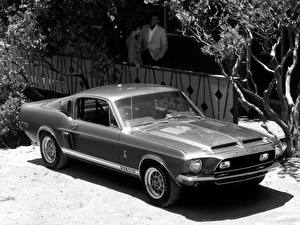 Картинка Shelby Super Cars GT500 1968