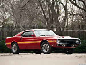 Обои Shelby Super Cars GT500 1969 машины