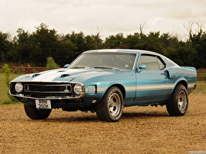 Фотография Shelby Super Cars GT500 1971 авто