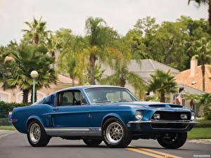 Картинка Shelby Super Cars GT500 KR 1968 машины