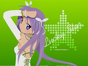 Обои Lucky Star Аниме Девушки