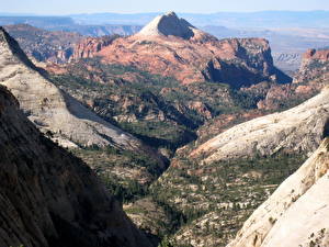 Фотография Парк Гора Зайон национальнай парк Штаты Каньона River Canyon Utah Природа