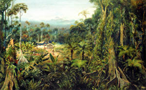 Фотография Картина Зденек Буриан Tropical forest