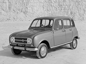 Фотография Renault 4 1967–74