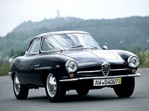Фотография Alfa Romeo Giulia 1600 Sprint Speciale [101] 1962–65