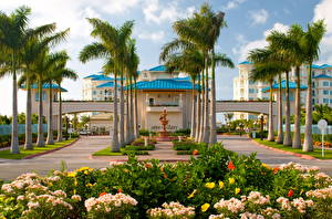 Обои Курорты Пальма caribbean beaches Города