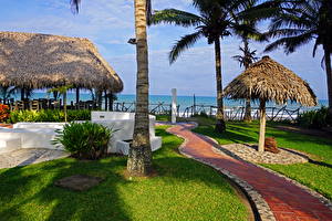 Фотография Курорты Мексика Пальма Веракрус