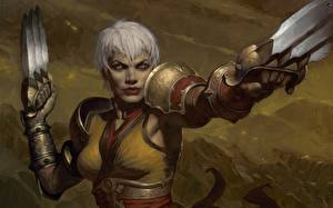 Фото Diablo Diablo III Игры Фэнтези Девушки