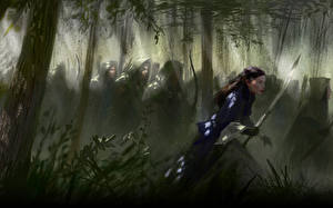 Фотографии The Lord of the Rings компьютерная игра Фэнтези Девушки