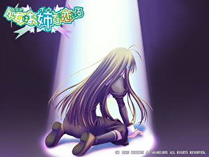 Картинки Otome wa Boku ni Koishiteru Девушки