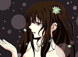 Фото Hyouka Аниме Девушки