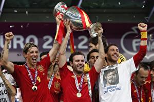 Фотографии Футбол Испания чемпион Европы 2012 спортивная