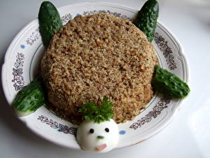 Обои Салаты черепаха Пища