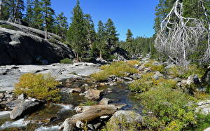 Обои Парки США Йосемити Калифорния Природа