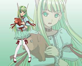 Обои Волшебный учитель Нэгима! Девушки