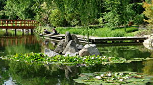 Обои Парк Вроцлав Польша Japanese Garden Park Szczytnicki Природа