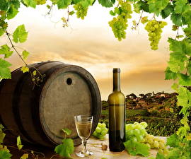 Фотография Напиток Бочка Бутылки Еда