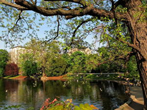 Фото Парки Австрия Вена Природа