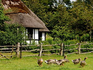 Фотографии Дома Дания Vinderup город