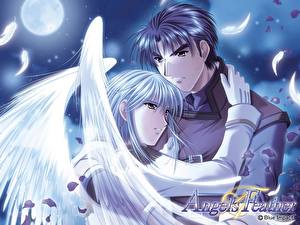 Обои Angel's Feather Аниме