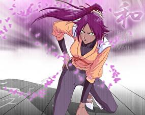 Фотографии Bleach: Memories of Nobody