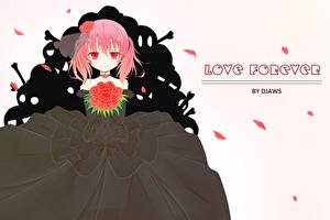 Обои для рабочего стола Лисья Секретная Служба Аниме Девушки