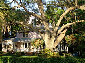 Фотографии Дома Штаты Флорида Данедин город