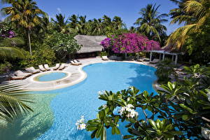 Фотография Курорты Мальдивы Плавательный бассейн