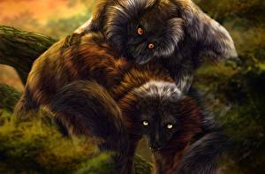 Обои Лемуры животное