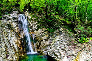 Фотографии Водопады Ручеек Словения First Ribnica Природа