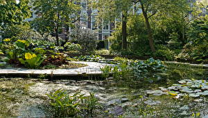 Картинка Сады Пруд Амстердам Hortus Botanicus Природа