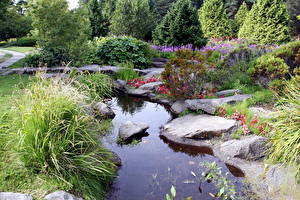 Фотографии Сады Пруд VanDusen Botanical Garden Vancouver Канада Природа