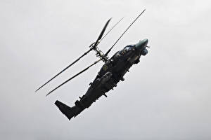 Фотография Вертолет Ка-52 Аллигатор Авиация
