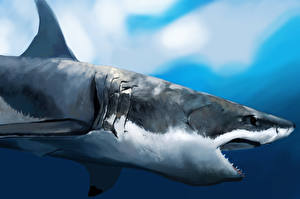 Картинки Подводный мир Акулы Животные