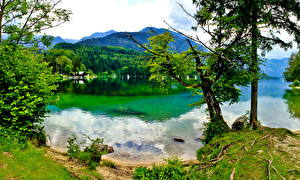 Фотография Озеро Словения Bohinj Природа