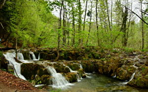 Фотографии Водопады Ручеек Плитвицкие озера Хорватия Природа