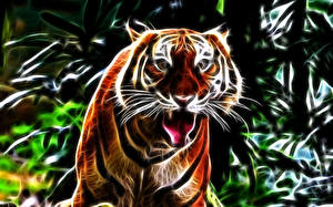 Обои для рабочего стола Тигр Большие кошки Злость Взгляд Морда 3D Графика Животные