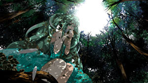 Фото Vocaloid Аниме Девушки