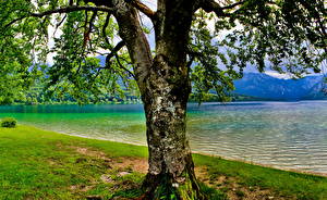 Фотографии Озеро Словения Bohinj Природа
