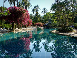 Фотографии Курорты Таиланд Плавательный бассейн Phuket