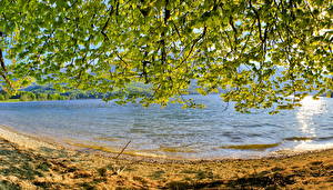 Фото Озеро Словения Bohinj  Природа