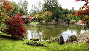 Обои Сады Пруд Japanese Garden Hasselt Бельгия Природа