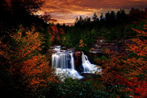 Фотография Водопады Лес Ручеек Осенний водопад Природа