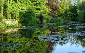 Картинки Сады Пруд Claude Monet garden Paris France Природа